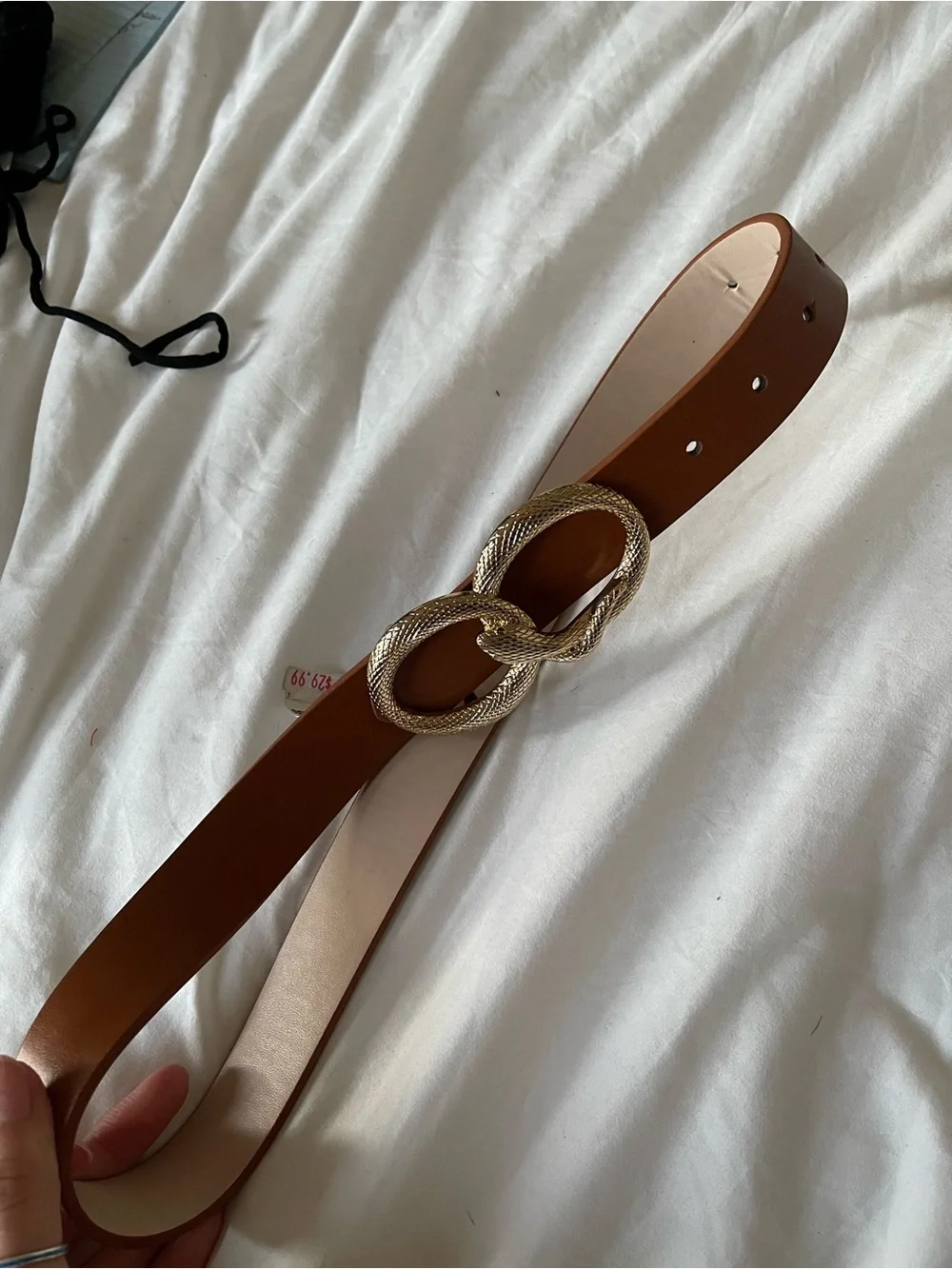 Express Brown Leather Belt with Gold Snake Buckle